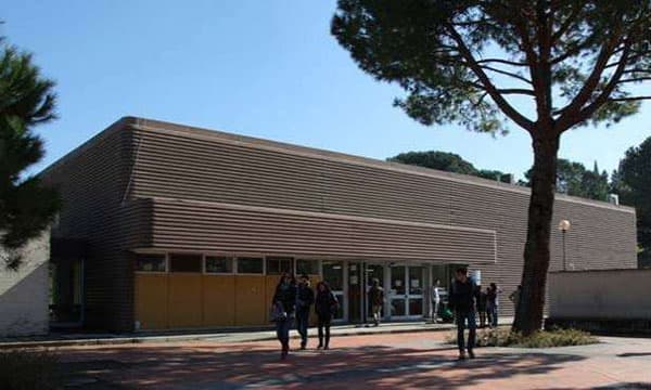 Neuroscienze, Psicologia, Area del Farmaco e Salute del Bambino (NEUROFARBA) cover